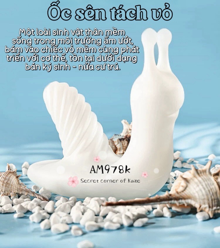 Ốc xanh AM978k