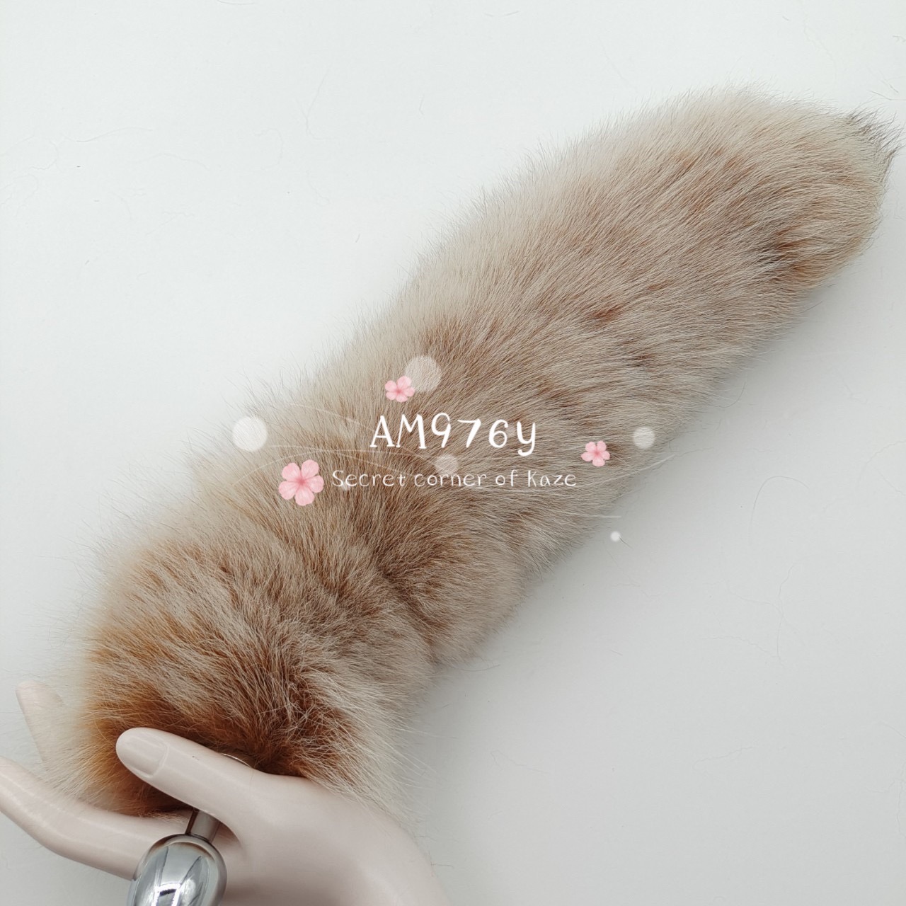 Đuôi cáo nhiều màu AM976y