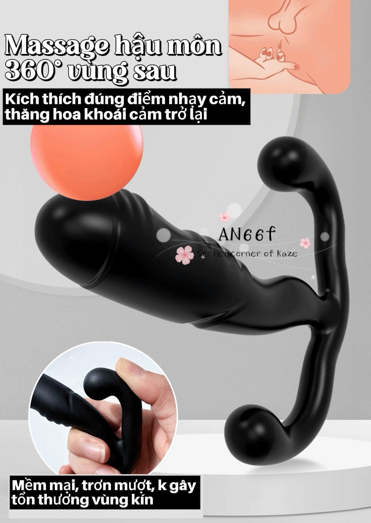 Plug cửa sau AN66f