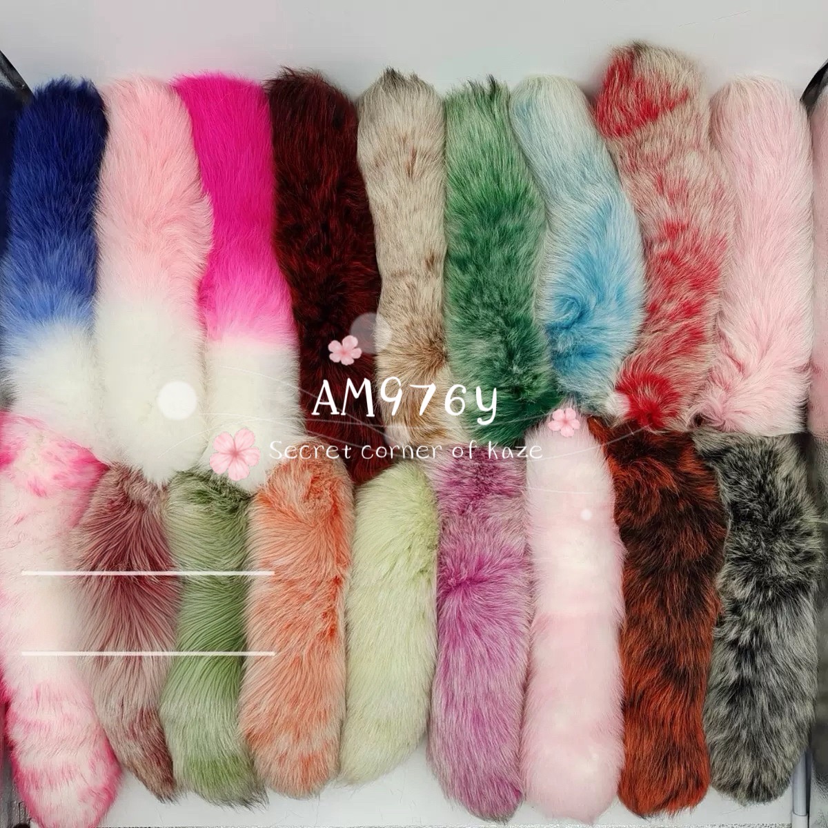 Đuôi cáo nhiều màu AM976y