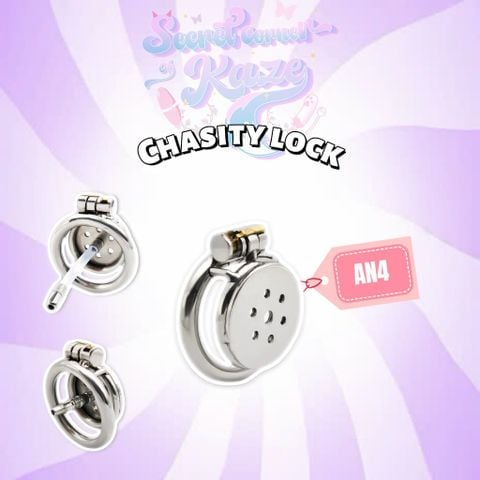 Khóa kim loại AN4