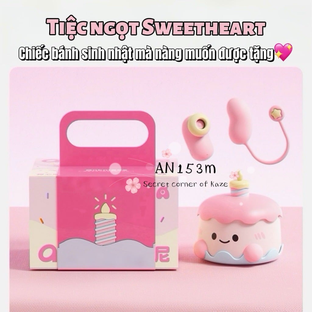 Birthday cake bánh kem sinh nhật AN153M