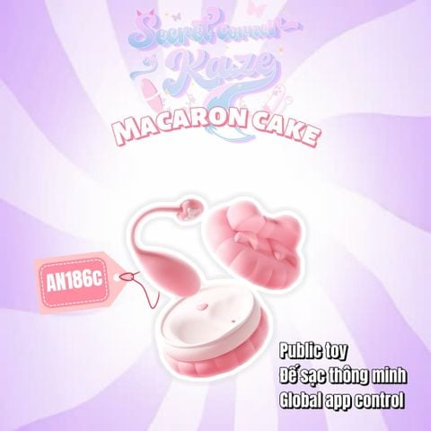 Macaron cake AN186c