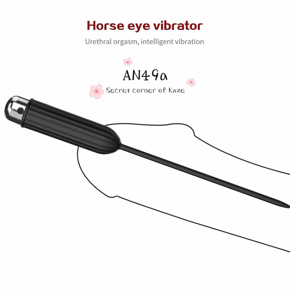 Que đạo nịu rung AN49a