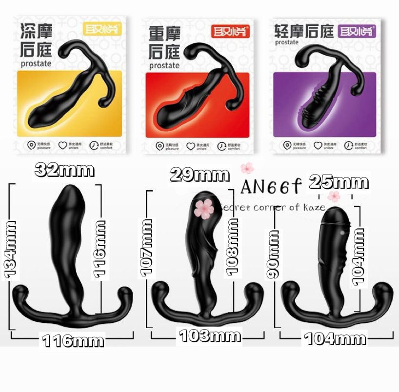 Plug cửa sau AN66f