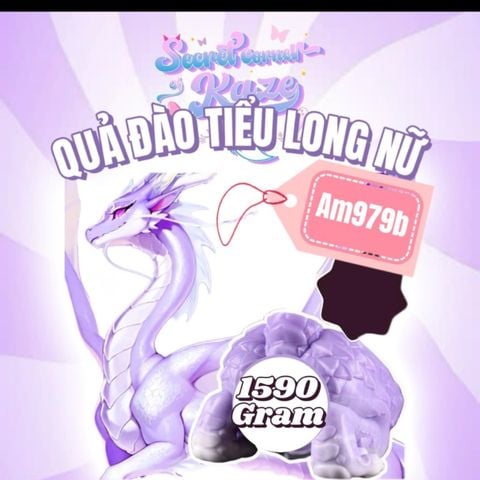 Đào tiểu long nữ Am979b