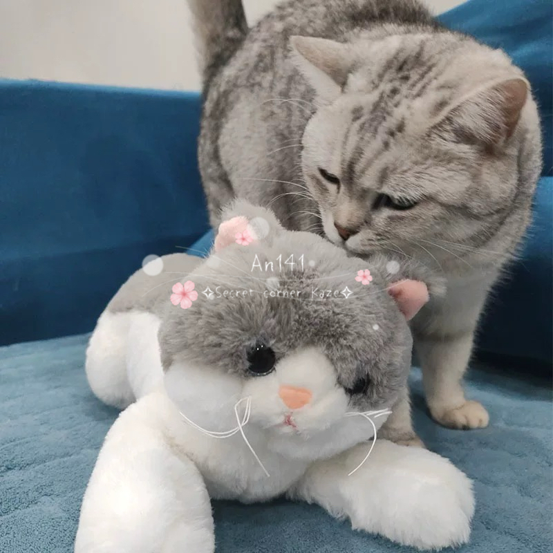 Doll cho mèo ver 2.0