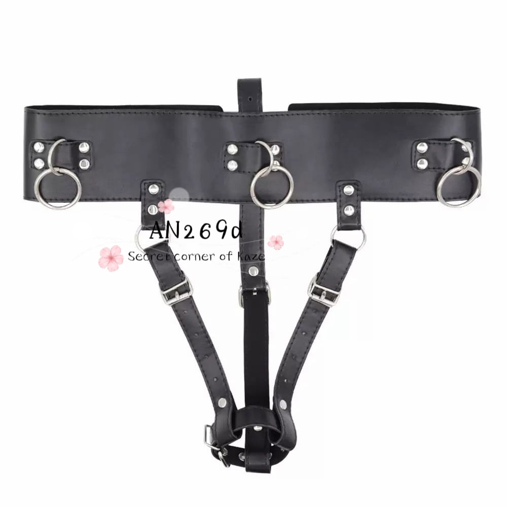 Đai giữ toy AN269d