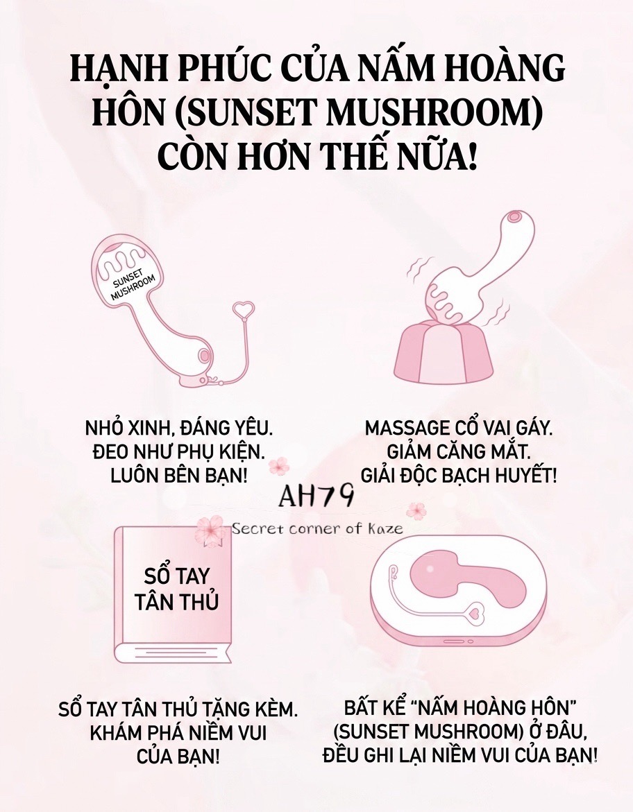 Sunset mushroom nấm AH79