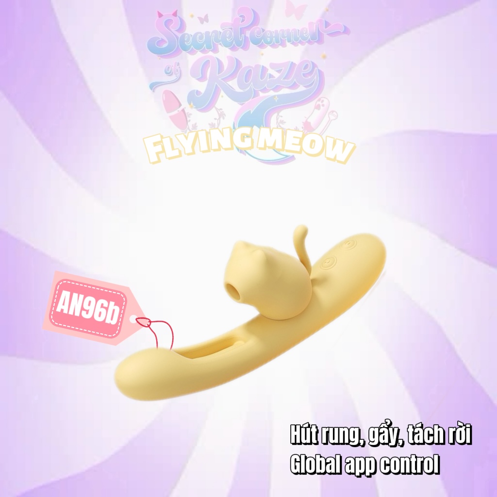 Flying meow AN96b