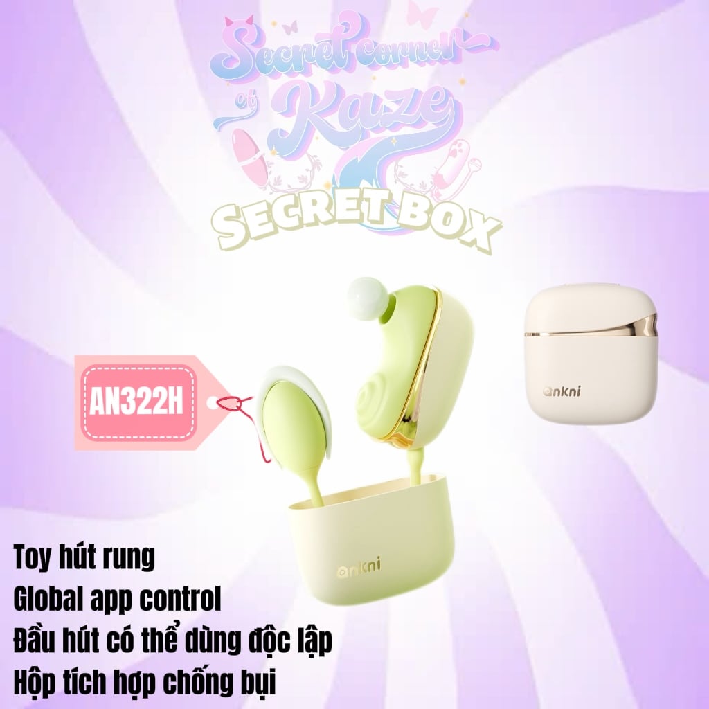 Secret box AN322h