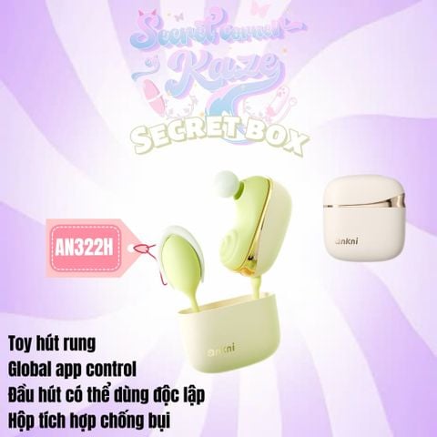 Secret box AN322h