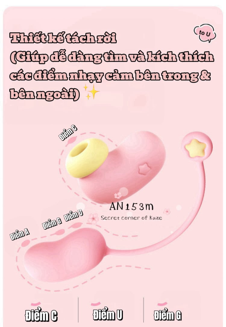 Birthday cake bánh kem sinh nhật AN153M