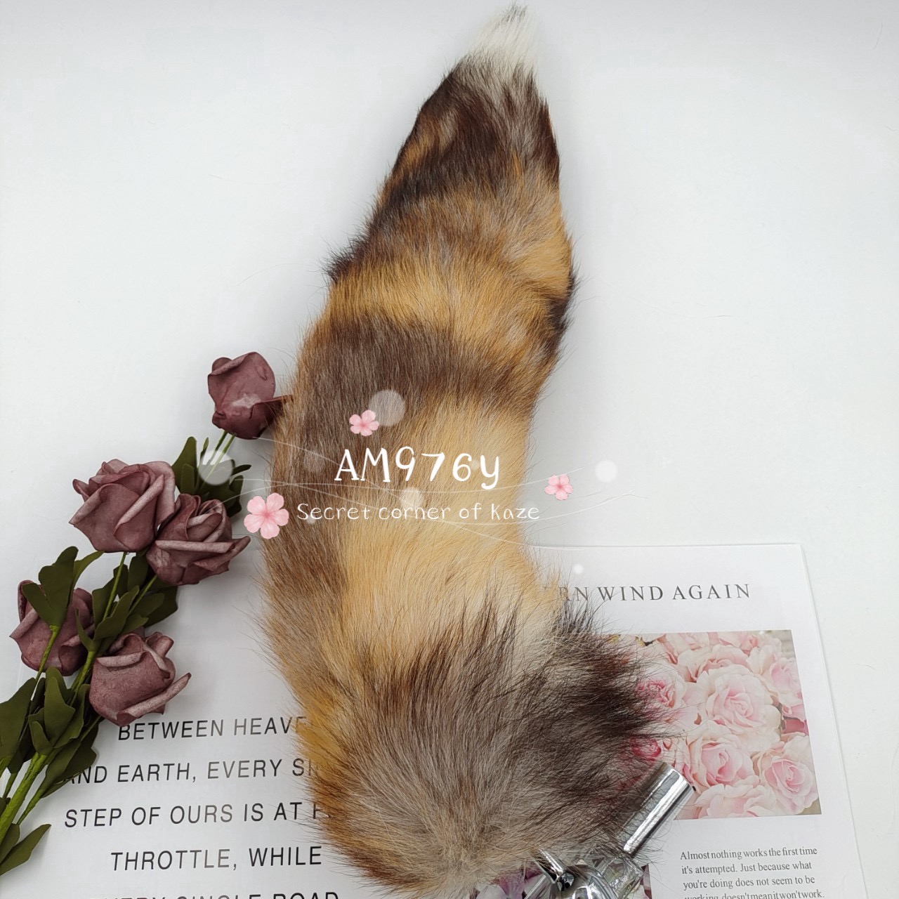 Đuôi cáo nhiều màu AM976y