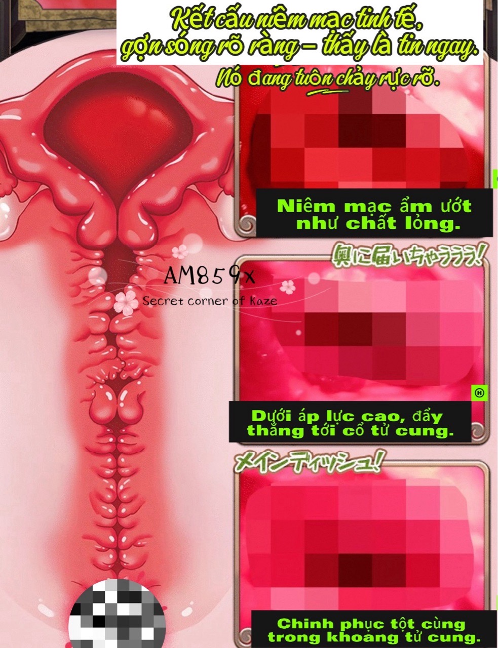 Cung điện thánh khiết AM859x