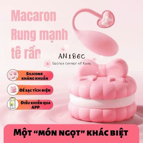 Macaron cake AN186c