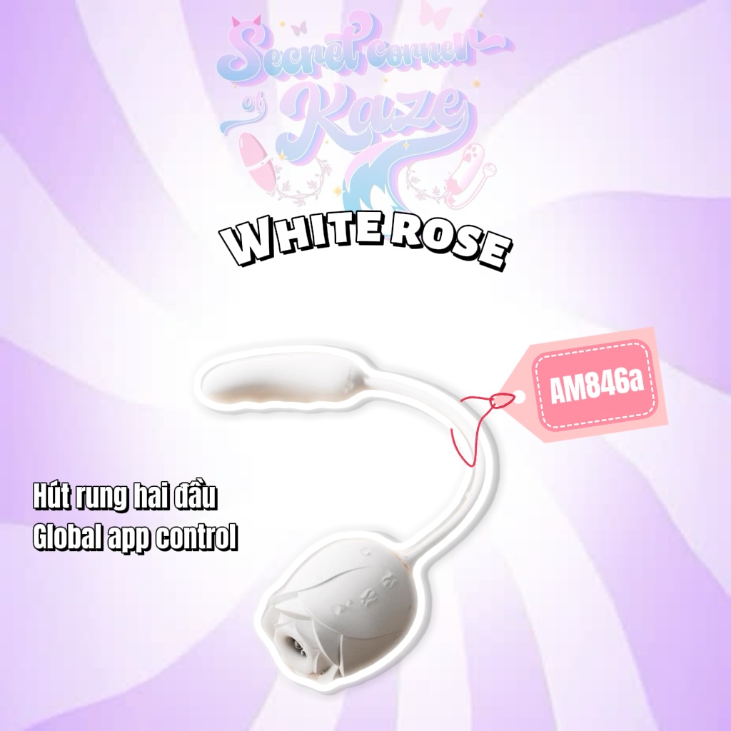 Hoa hồng trắng AM846a