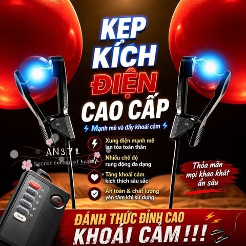 Kích điện ti rung AN371