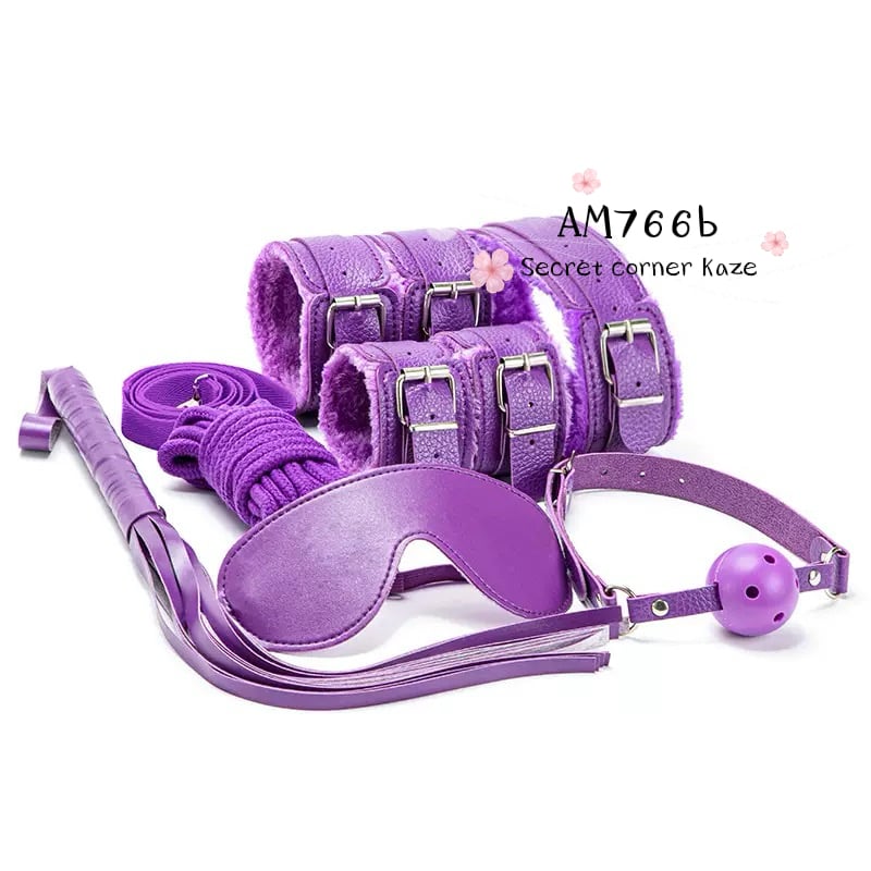 BDSM set Am766b