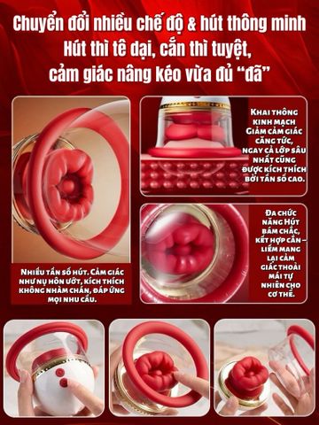 Nụ hôn ngực thiên thần AM978u