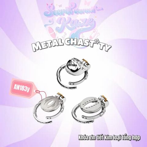Khóa zin tiết tổng hợp AN184y