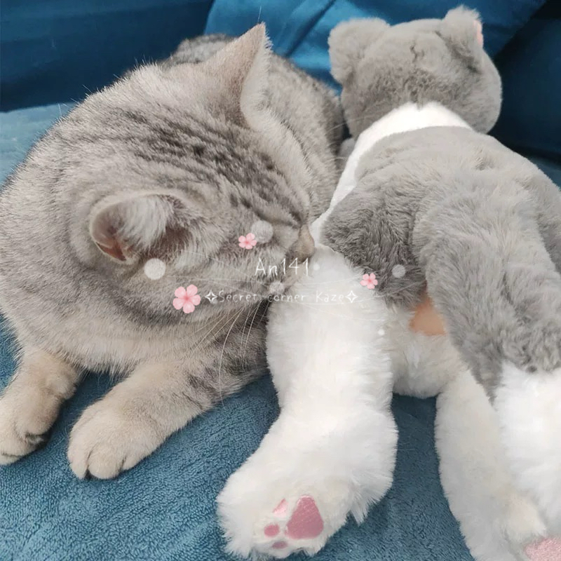 Doll cho mèo ver 2.0