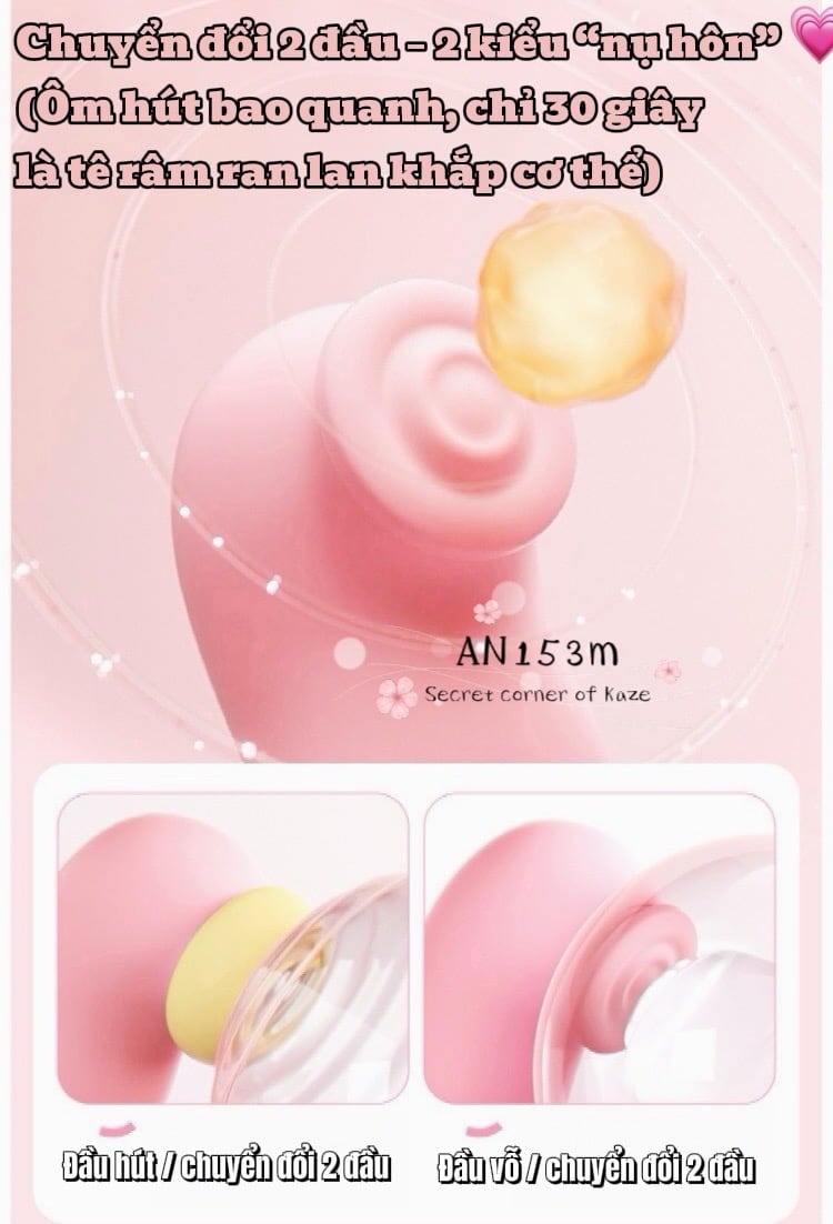 Birthday cake bánh kem sinh nhật AN153M