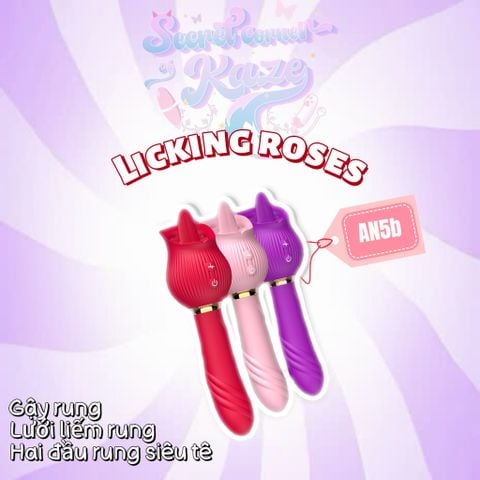 Hoa hồng liếm rung hai đầu AN5b