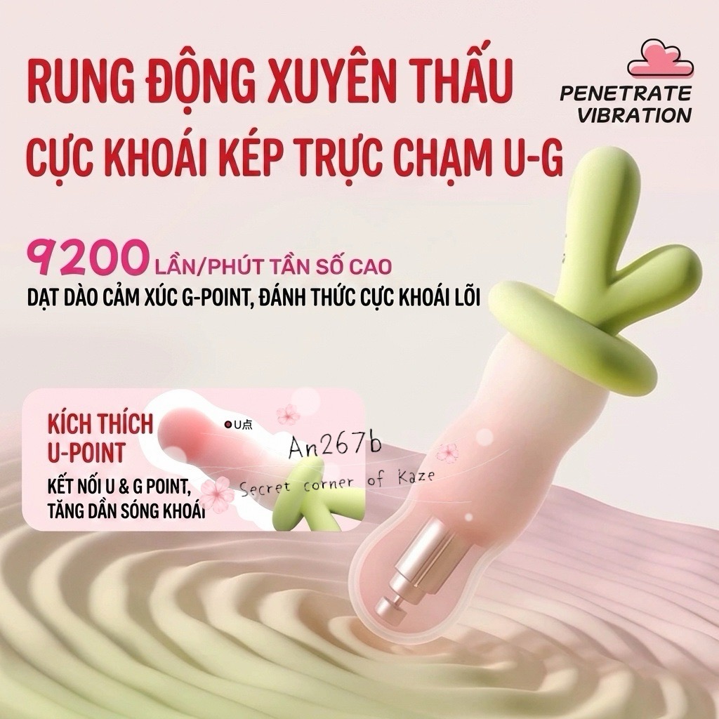 Cà rốt hồng AN267b
