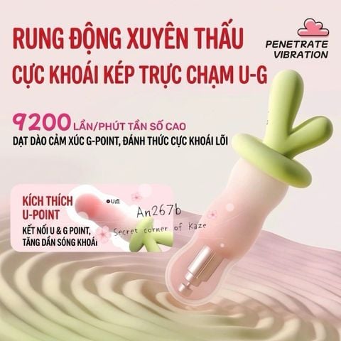 Cà rốt hồng AN267b