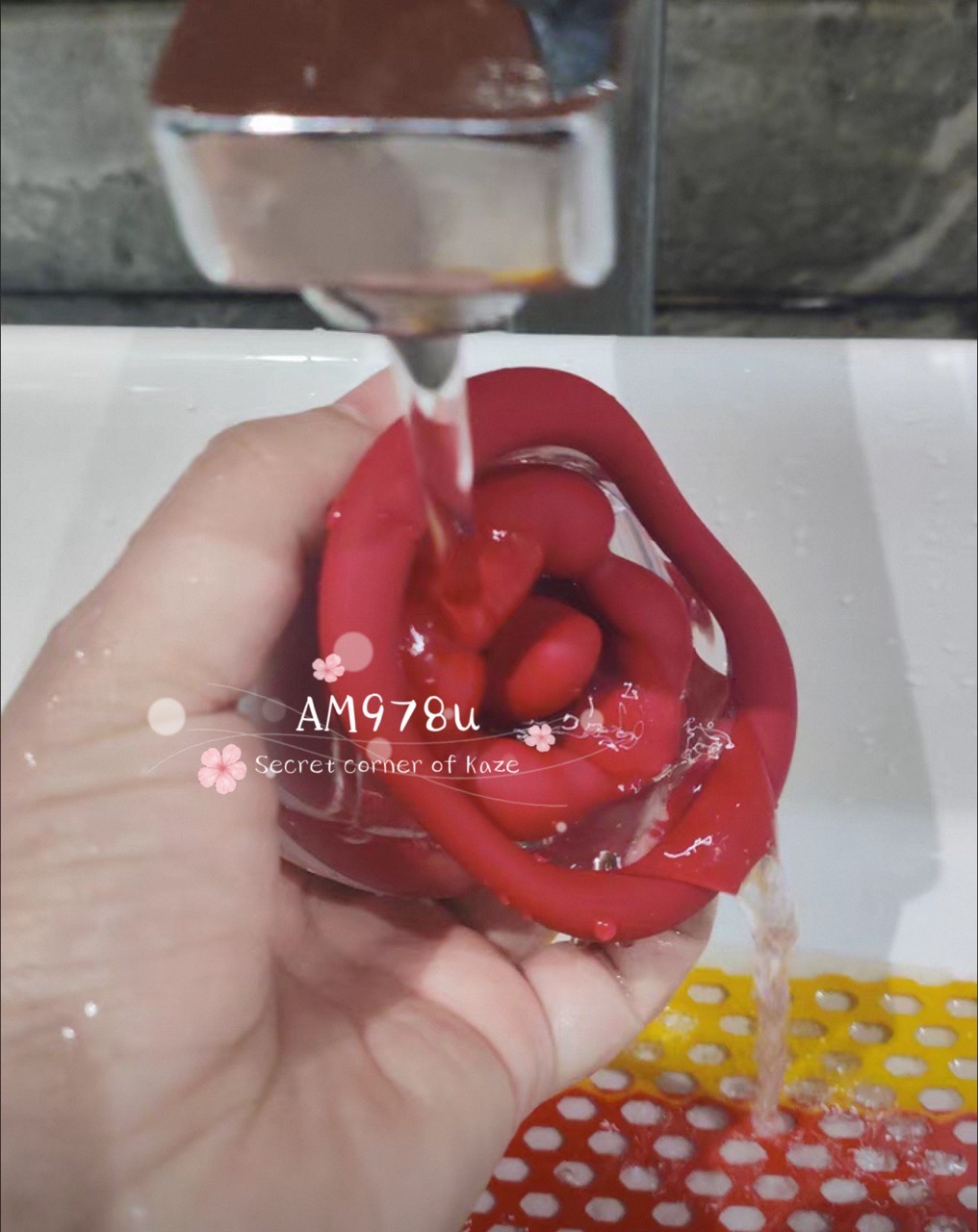 Nụ hôn ngực thiên thần AM978u
