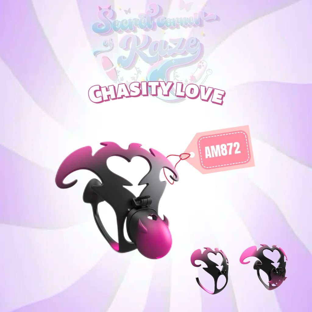 Khóa trinh tiết tình yêu AM872