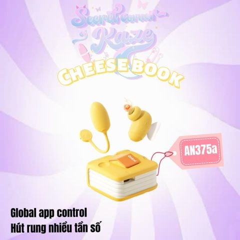 Cheese book AN375a