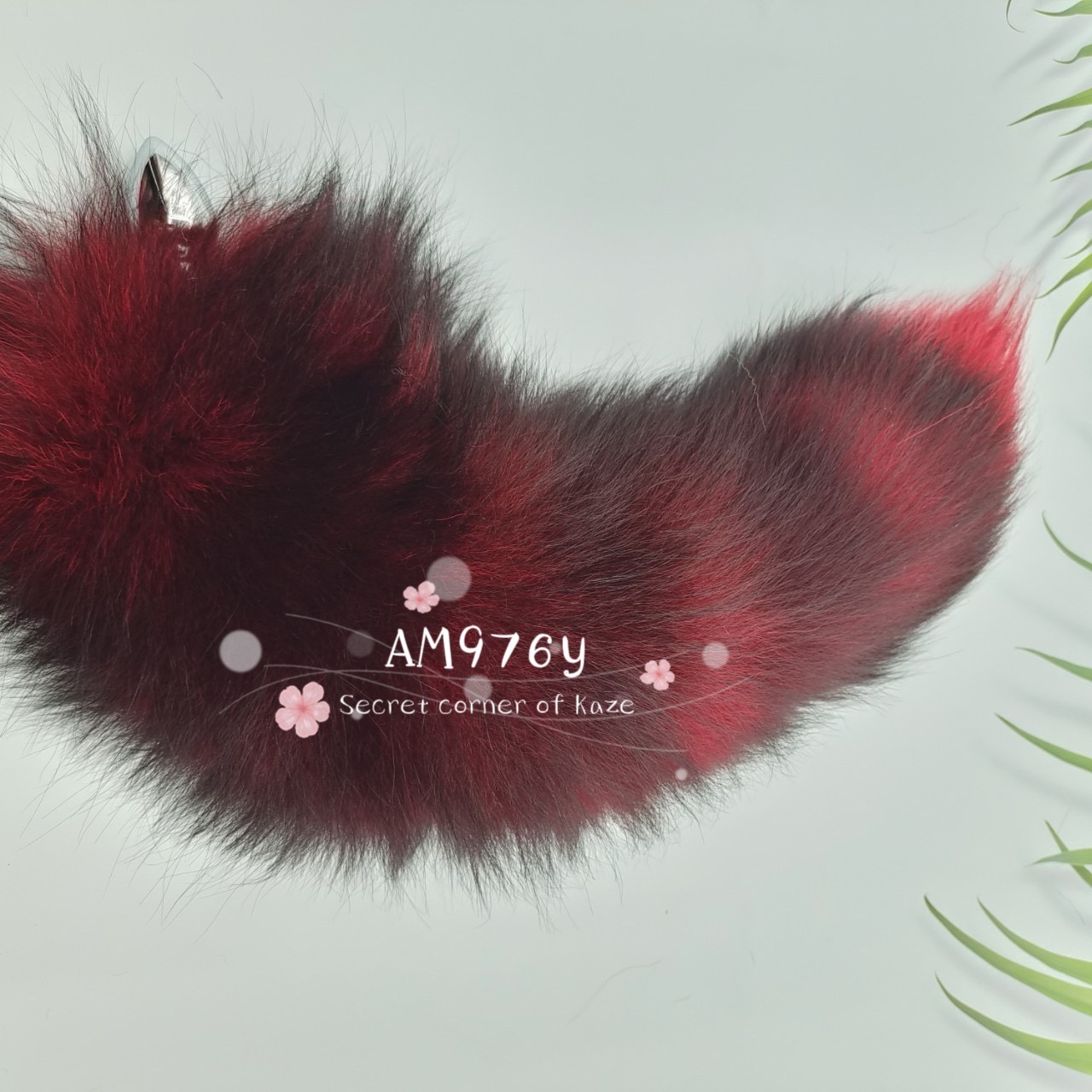 Đuôi cáo nhiều màu AM976y