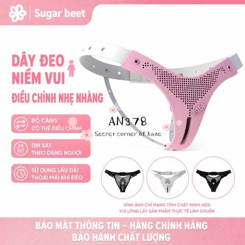 Happy chastity AN378