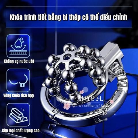 Khóa trinh tiết bi AN183L