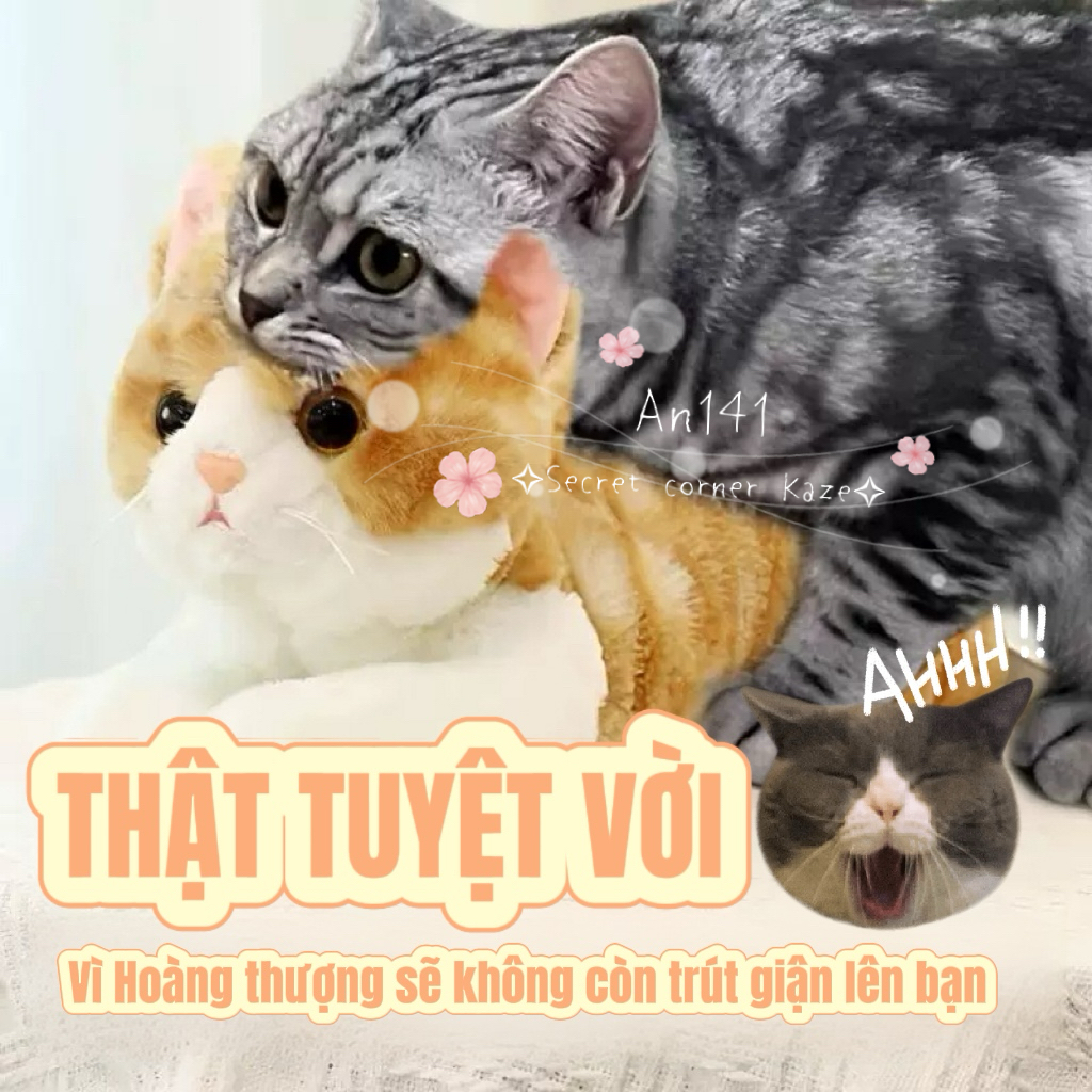 Doll cho mèo ver 2.0