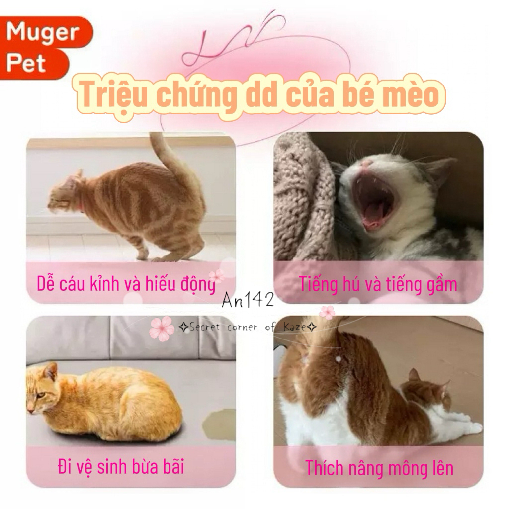Toy cho cún và mèo cái An142