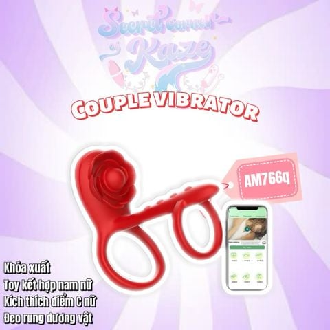 Toy rung couple AM766Q