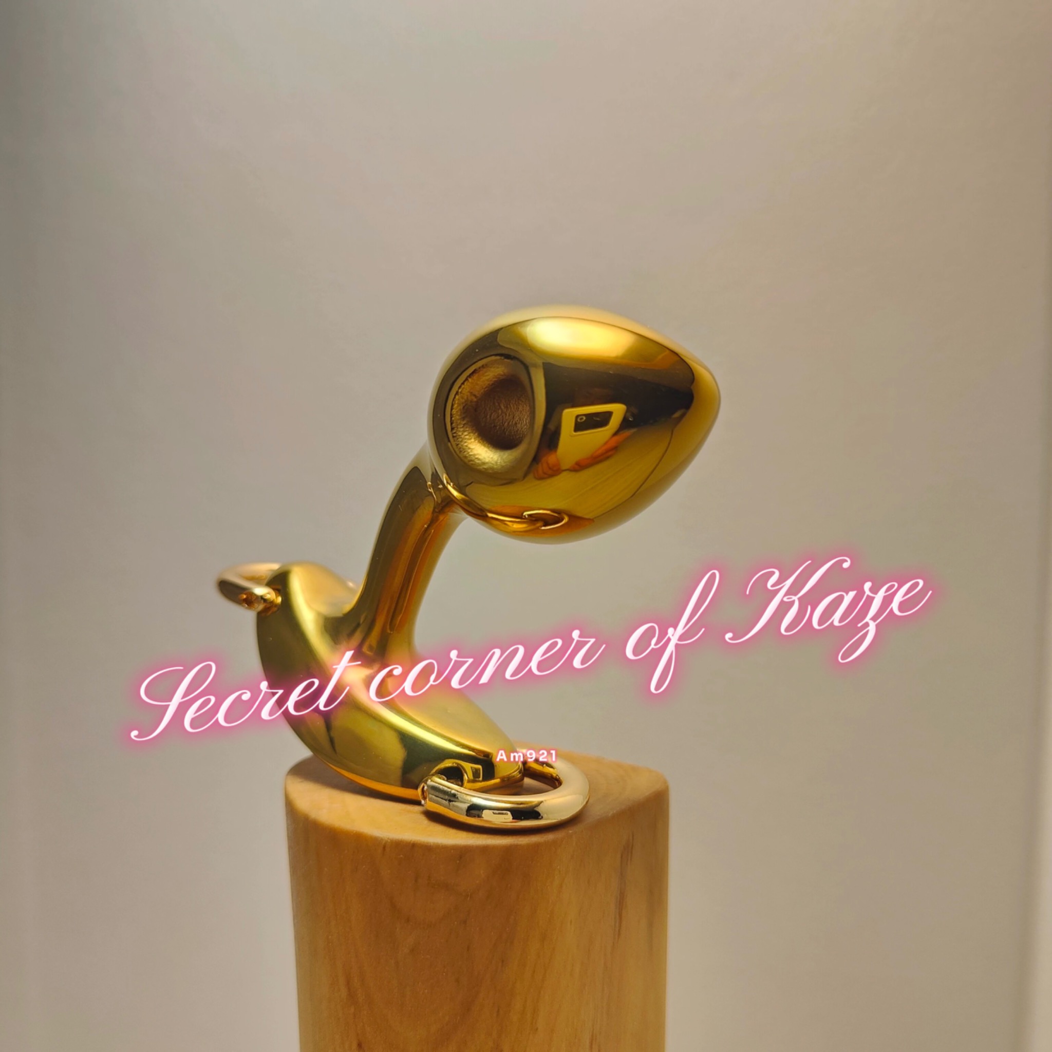 Plug móc treo AM921