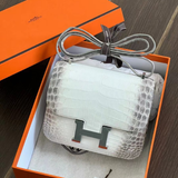  Hermes Limited Bags (Himalaya Crocodile, Diamond Birkin, Kelly, …) 