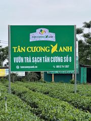 Trà Tân Cương Thượng Hạng TC1 - 500gram - Tuyệt Phẩm Trà Thái Nguyên