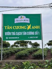 Trà Tân Cương Thượng Hạng TC1 - 500gram - Tuyệt Phẩm Trà Thái Nguyên