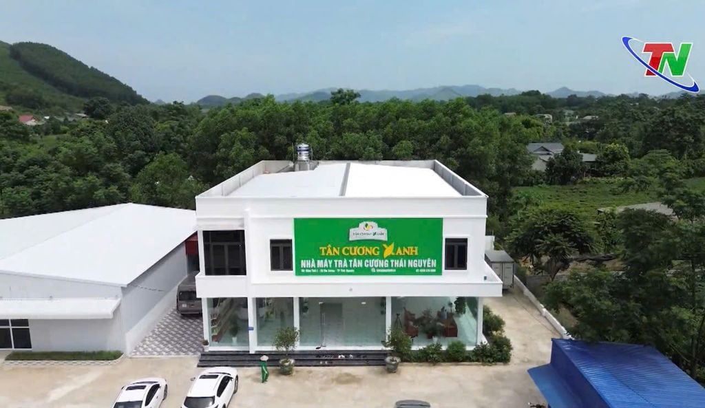 Trà Nhài Túi Lọc Thượng Hạng - Hộp 40gram