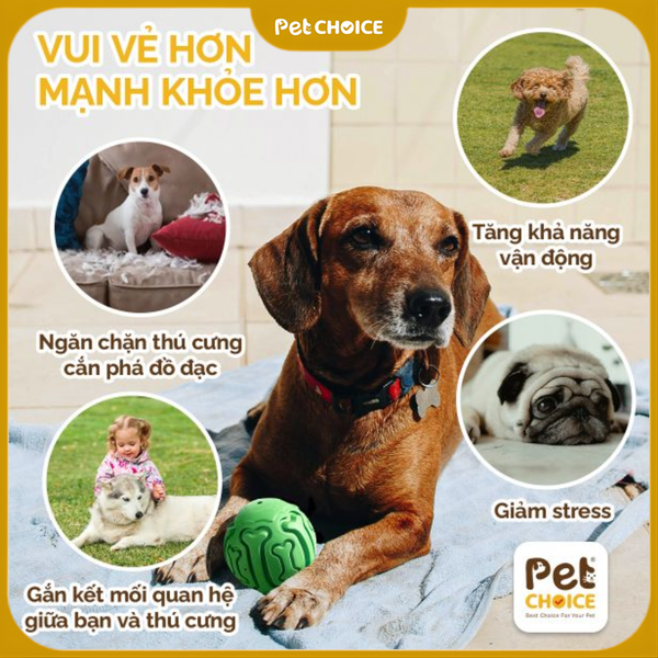 Bóng cao su xương lõm phát âm thanh