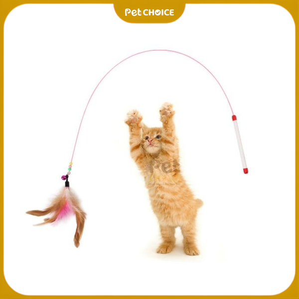 Cần câu kẽm có lông vũ kèm chuông cho mèo