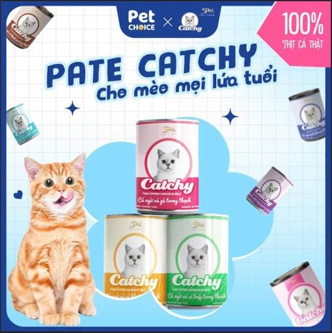 Pate Catchy 400g, pate trong thạch cho mèo mọi lứa tuổi