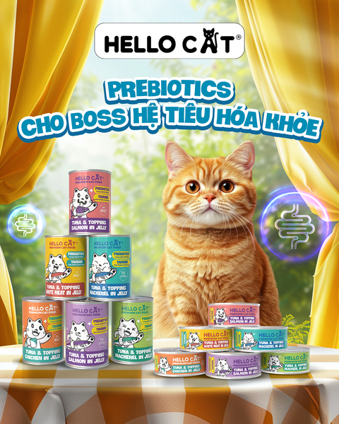 Pate cho mèo, thức ăn cho mèo mọi lứa tuổi trong thạch Hello Cat Tuna 400g dinh dưỡng