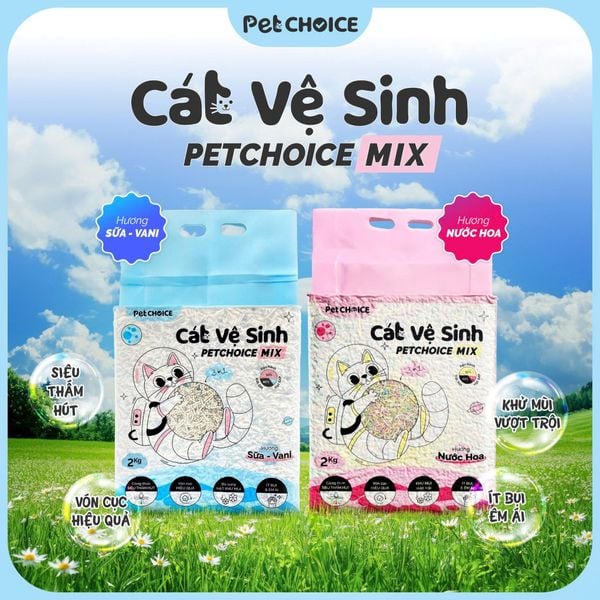 Cát Mèo Đậu Nành Mix Đất Sét PetChoice 6L/2KG, Cát Vệ Sinh Cho Mèo