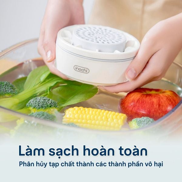máy rửa rau